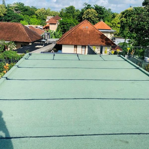 WhatsApp Image 2025-07-29 at 08.41.19_47c705eb